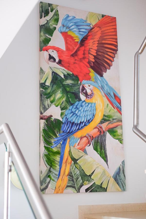 ラゴスAmazing Views Casa Hummingbirdアパートメント エクステリア 写真
